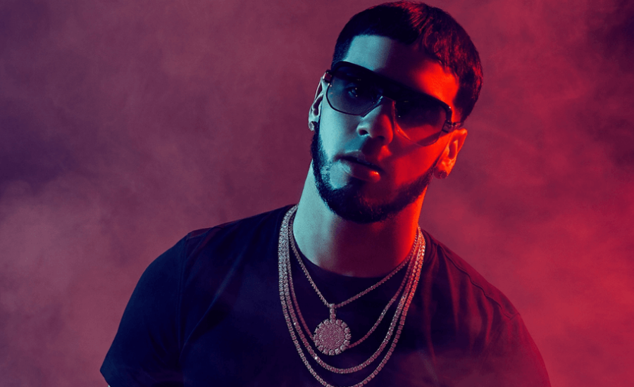 anuel net worth